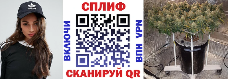 Купить закладку СК  МЕФ  Марихуана  Данилов