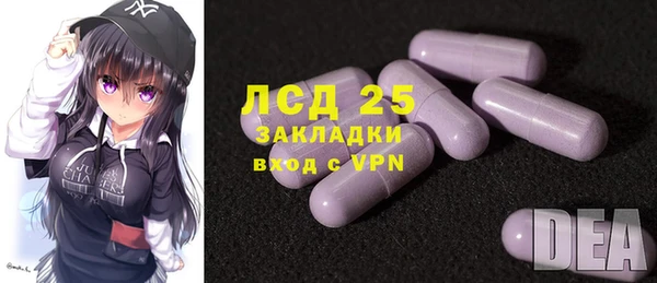 сатива Коряжма