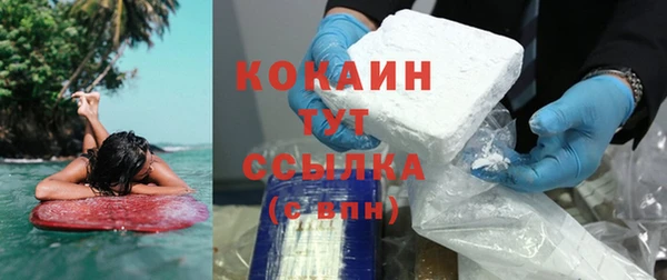 сатива Коряжма