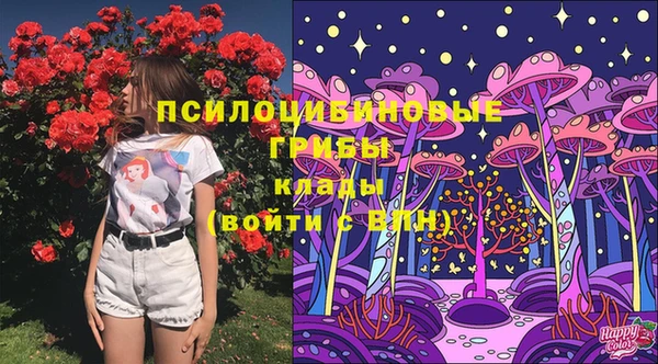 сатива Коряжма