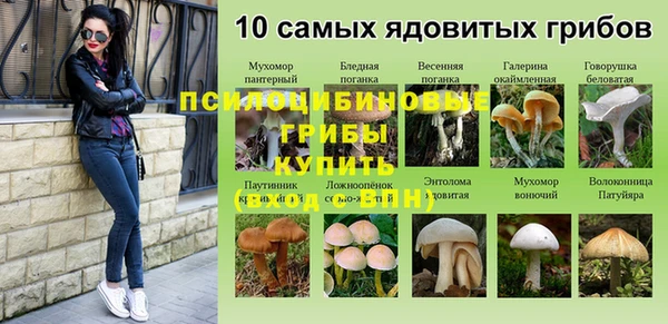 mdpv Костерёво