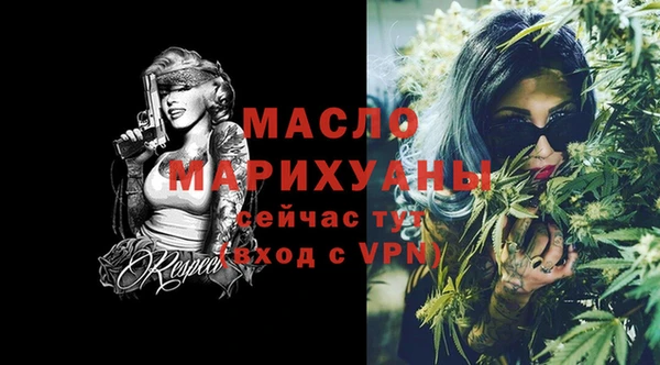 сатива Коряжма
