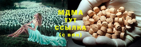 сатива Коряжма