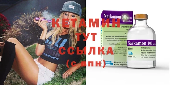 сатива Коряжма