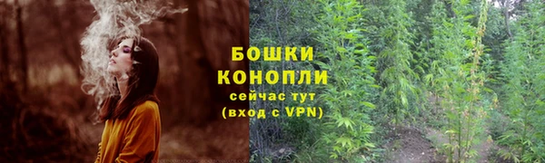 mdpv Костерёво