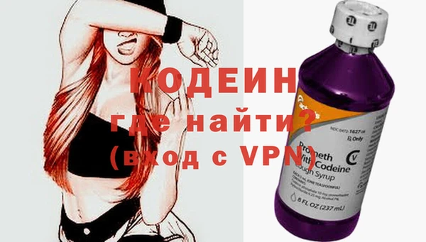 сатива Коряжма