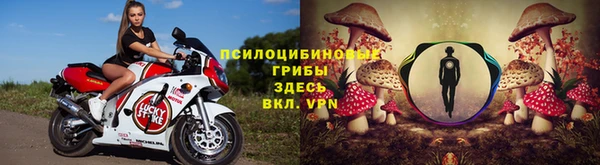 spice Корсаков